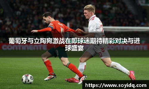 葡萄牙与立陶宛激战在即球迷期待精彩对决与进球盛宴