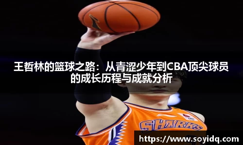 王哲林的篮球之路：从青涩少年到CBA顶尖球员的成长历程与成就分析